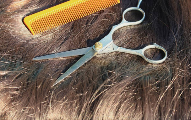 Friseurschere an den Haaren - Foto, Bild