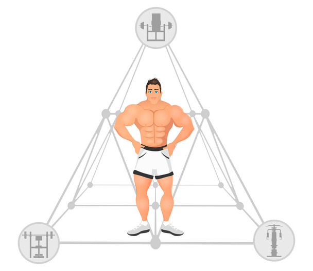 スポーツのボディービルダーの男性とフィットネスの概念。筋肉モデル。メンズの体格の選手。白い背景で隔離のベクトル図. - ベクター画像