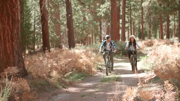 Smiling couple cycling through a forest  - Filmati, video
