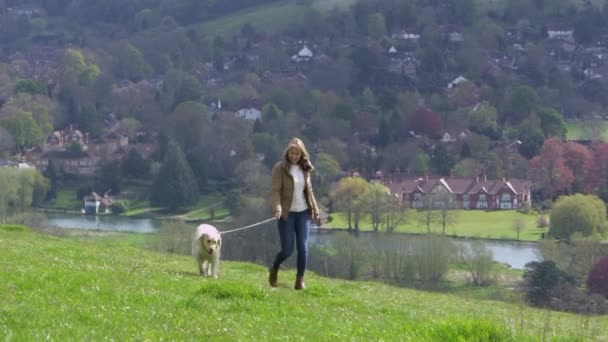 Mature Woman Taking Dog For Walk - Materiał filmowy, wideo
