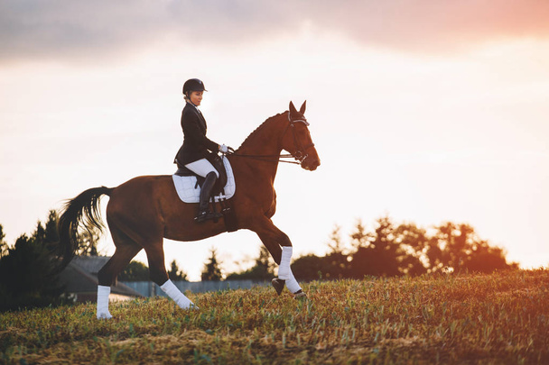 donna che cavalca cavallo marrone indossando casco in campo
 - Foto, immagini