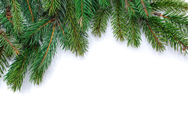 Christmas tree branches border on white background - Foto, immagini