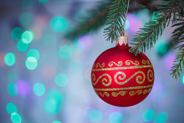 κόκκινη Χριστουγεννιάτικη μπάλα κρέμονται στα κλαδιά πεύκου με εορταστική φόντο. - Φωτογραφία, εικόνα