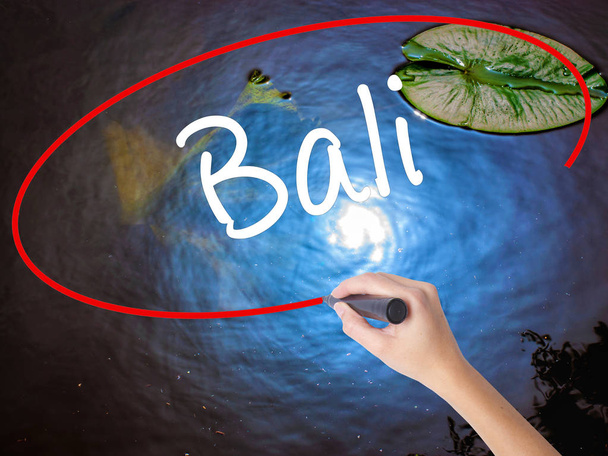 Donna mano scrittura Bali con pennarello su tavola trasparente
 - Foto, immagini