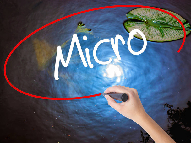 Frau schreibt Mikroschrift mit Filzstift über transparente Tafel - Foto, Bild