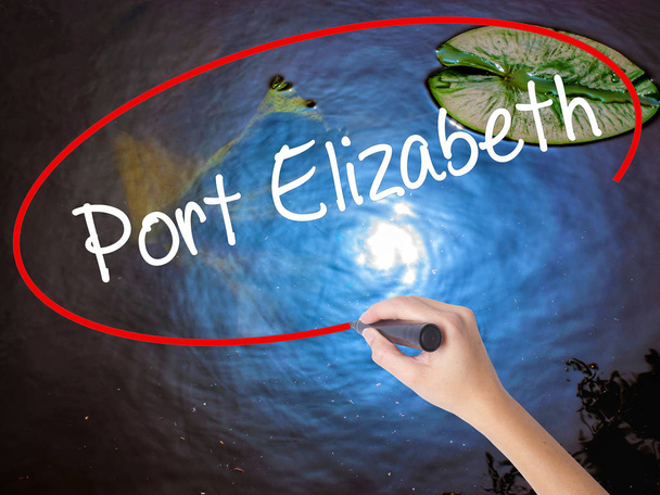 Nő kézzel írás Port Elizabeth fölött átlátszó jelölővel  - Fotó, kép