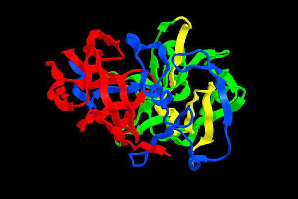 Estructura molecular de pepsina sobre fondo negro, representación 3D
 - Foto, Imagen