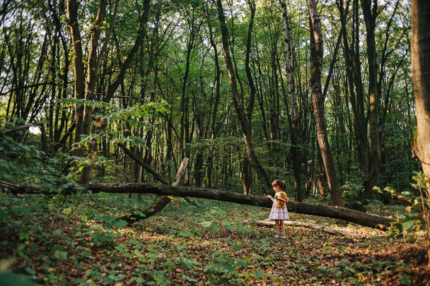 woods.bear の女の子の森の肖像画で立っている女の子 - 写真・画像