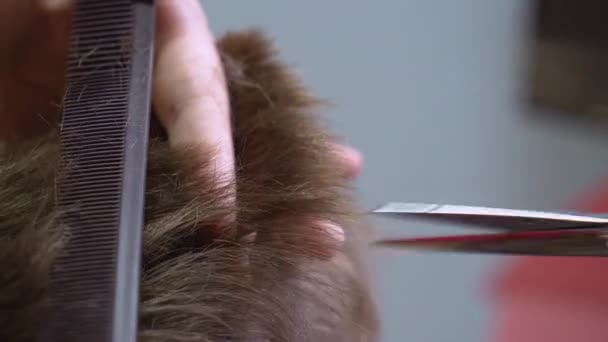 Крупним планом перукар ріже волосся в салоні краси
. - Кадри, відео