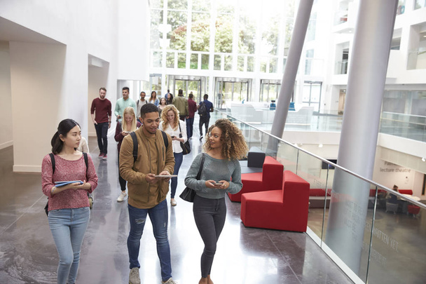 Students walking and talking in university - Foto, immagini