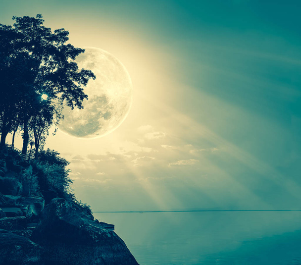 Silhouettes d'arbre contre ciel sur mer tranquille
.  - Photo, image