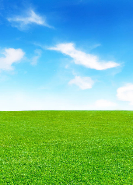 Pradera verde y cielo azul con nubes esponjosas
 - Foto, Imagen