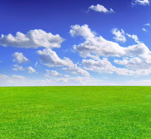 Πράσινο λιβάδι και το γαλάζιο του ουρανού με φουντωτό σύννεφα - Φωτογραφία, εικόνα