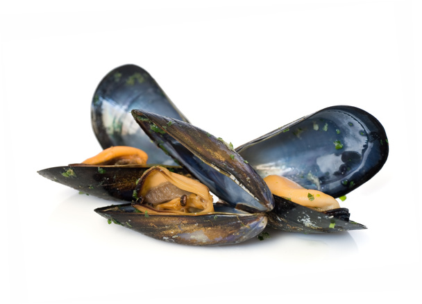 Three mussels - Photo, Image
