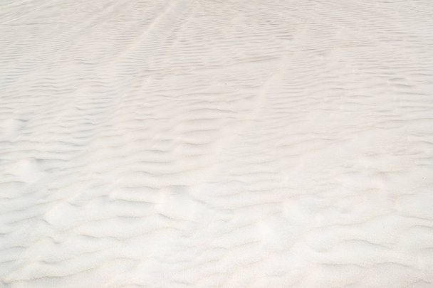 Lancelin Sand Dunes in Western Australia - Φωτογραφία, εικόνα
