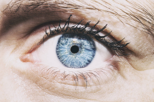 Beautiful insightful look women's blue eye - Photo, Image