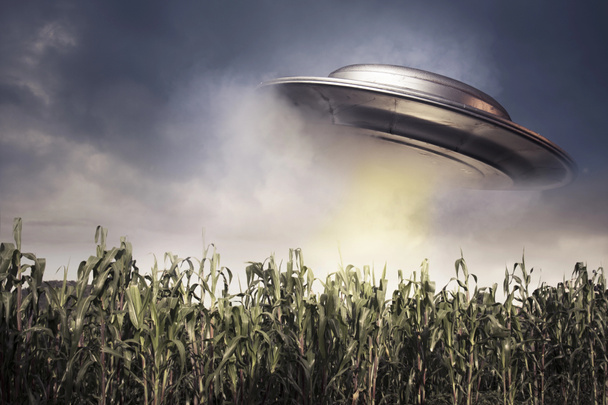 UFO lebeg egy növény mező - Fotó, kép