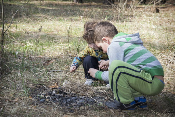 Το καλοκαίρι σε ξύλα μικρών παιδιών προσπαθεί να ξεκινήσει μια πυρκαγιά - Φωτογραφία, εικόνα