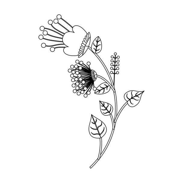 Diseño de decoración de flores aisladas
 - Vector, imagen