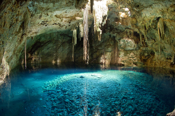 mexican cenote, sinkhole - Photo, Image