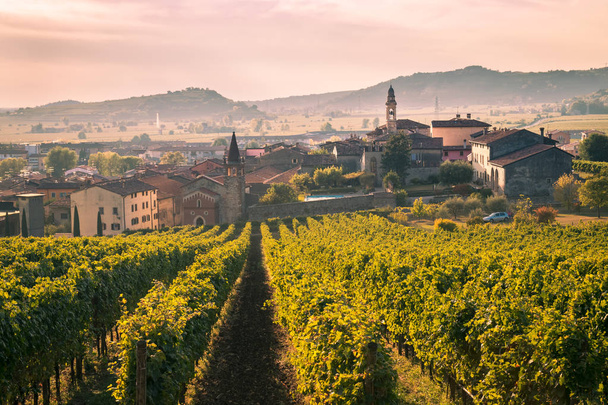 Pohled na Soave (Itálie) obklopená vinicemi. - Fotografie, Obrázek