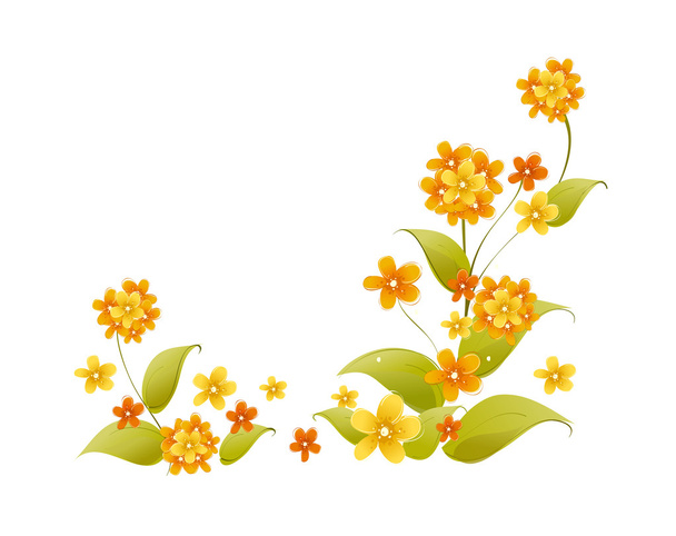 Flores cor de laranja
 - Vetor, Imagem
