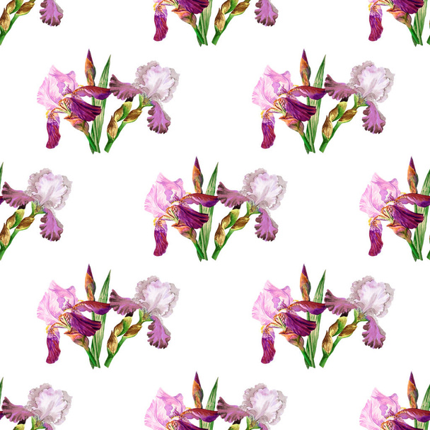 Seamless pattern with colored irises - 写真・画像