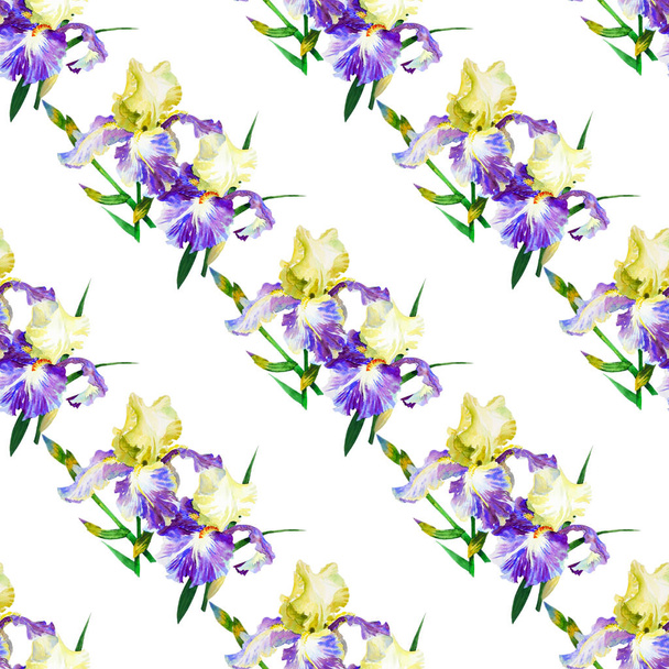 Seamless pattern with colored irises - Φωτογραφία, εικόνα