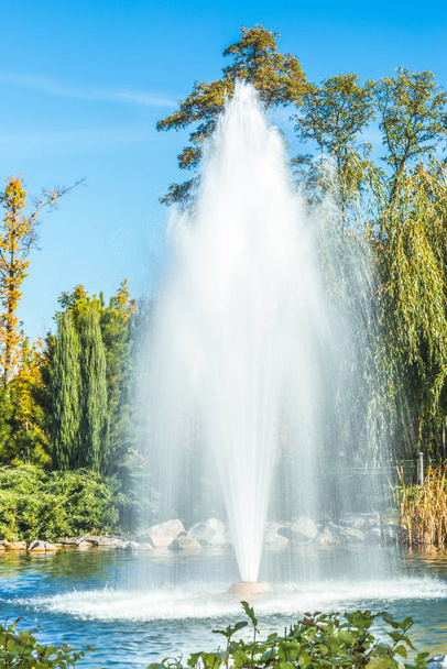 La fontana sul lago nel parco. - Foto, immagini