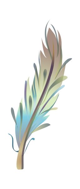 Feather - Vector, Image