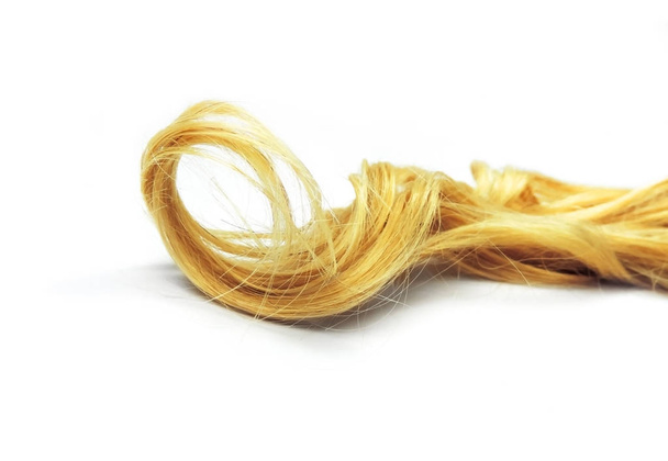 вьющиеся светлые волосы, изолированные
 - Фото, изображение