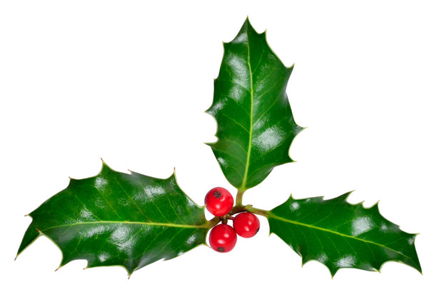 Holly sarok, karácsonyi dekoráció - Fotó, kép