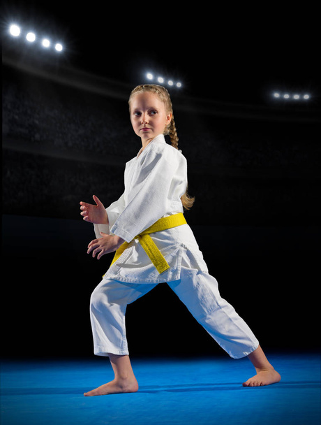 Little girl martial arts fighter - Photo, Image