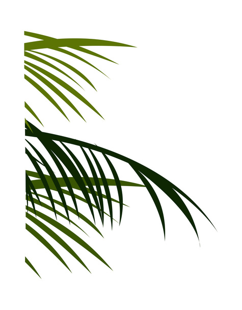 пальмового листя
 - Вектор, зображення