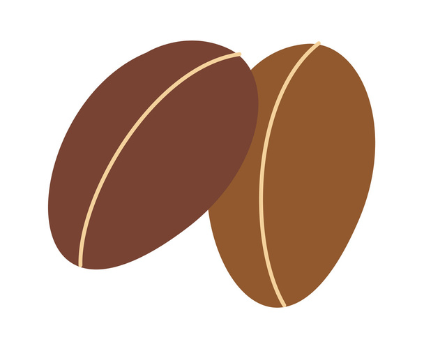 Coffee beans - Vector, Image