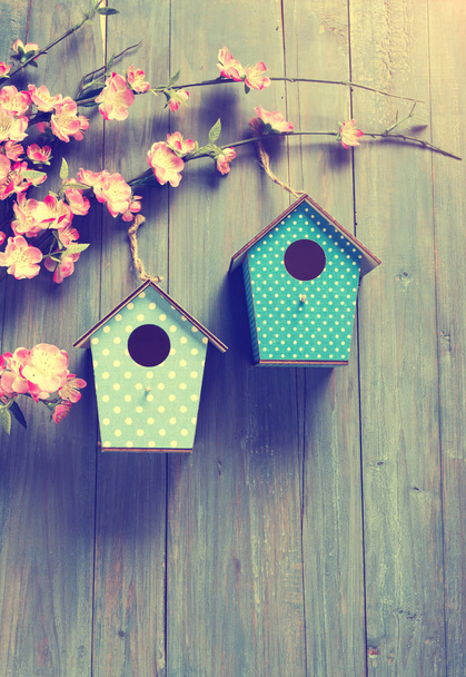 two birdhouses hang on spring tree flowers with antique rustic wood background. - Photo, Image