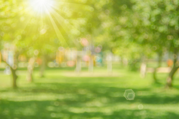 Blur φύση πράσινο πάρκο με ήλιο φως αντίγραφο χώρου αφηρημένα φόντο. - Φωτογραφία, εικόνα
