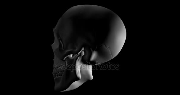 黒い背景に旋回人間の頭蓋骨 - 映像、動画