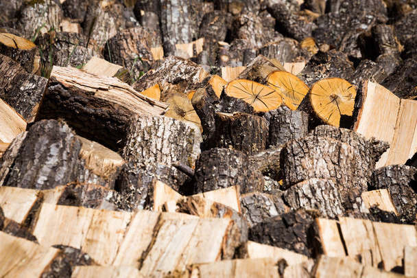 冬の燃料のための木杭の乾燥ログ - 写真・画像