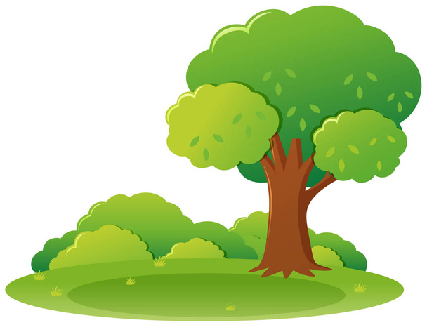 Парк сцена с деревом и травой
 - Вектор,изображение