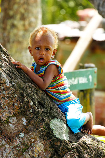 LAVENA, FIJI - NOVEMBER 27: Unidentified boy sits on a plam tree - Zdjęcie, obraz