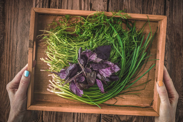 Village herbs dill, basil, onions in a wooden box - Photo, image