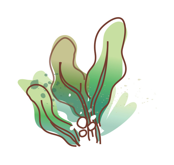 Green seaweed - Vector, Image