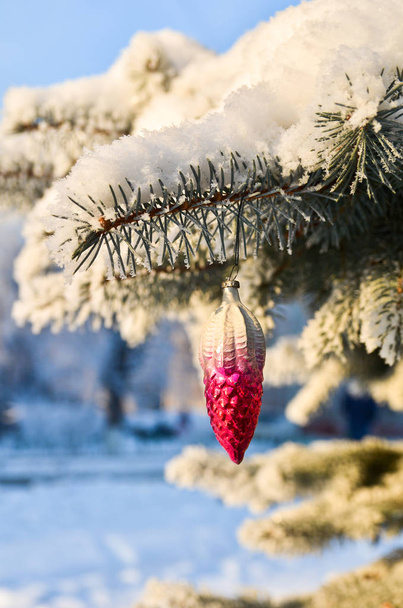 Winter - Christmas and New Year.  - Foto, Bild