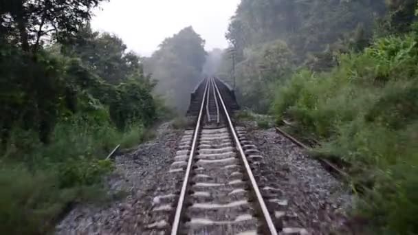 Railway bridge pass forest. - Footage, Video