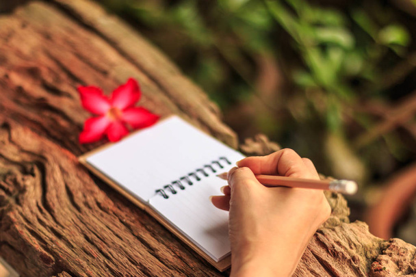 Handen van meisje schrijven - handen van meisje schrijven met een potlood in notitieboekje en Desert Rose staande op oude houten textuur met groen achtergrond. Close-up, selecteer focus.  - Foto, afbeelding