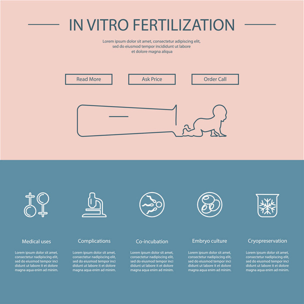 Modelo de fertilização in vitro
 - Vetor, Imagem
