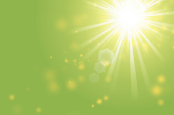 Abstract colorful bokeh and sun light on green background. - Photo, Image