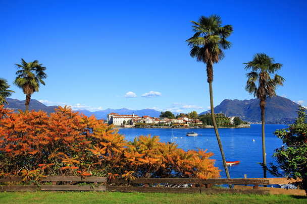 Piękny widok na jezioro Maggiore - Zdjęcie, obraz
