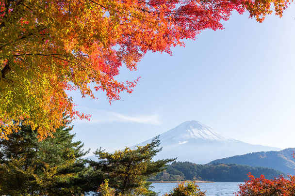 Göl ve dağ Fujisan Sonbahar sezonu - Fotoğraf, Görsel